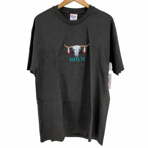 ヘインズ Hanes SANTA FE バッファロースカル刺繍Tシャツ メンズ import:L 42-44