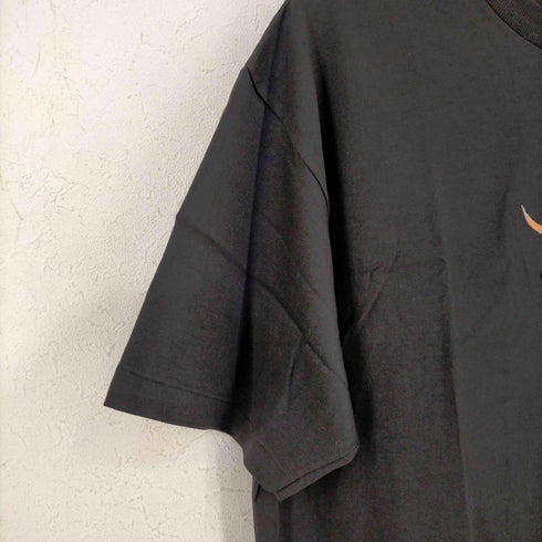 ヘインズ Hanes SANTA FE バッファロースカル刺繍Tシャツ メンズ import:L 42-44