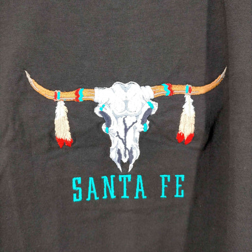 ヘインズ Hanes SANTA FE バッファロースカル刺繍Tシャツ メンズ import:L 42-44