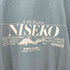 ANDRIANO シングルステッチ HOKKAIDO NISEKO Tee メンズ JPN:L