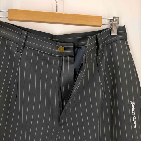 Student Apathy Stripe slacks メンズ JPN:M