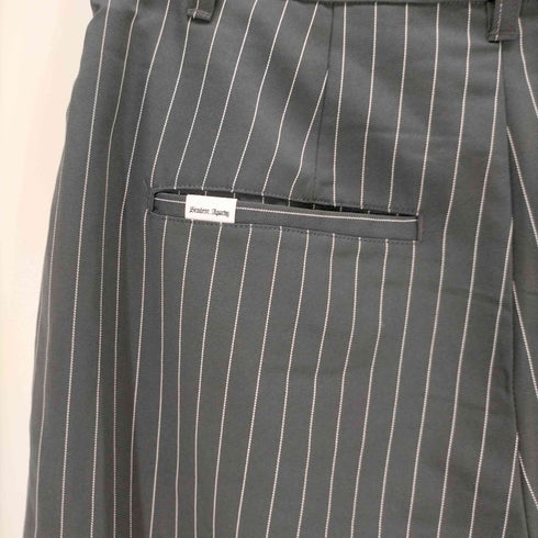 Student Apathy Stripe slacks メンズ JPN:M