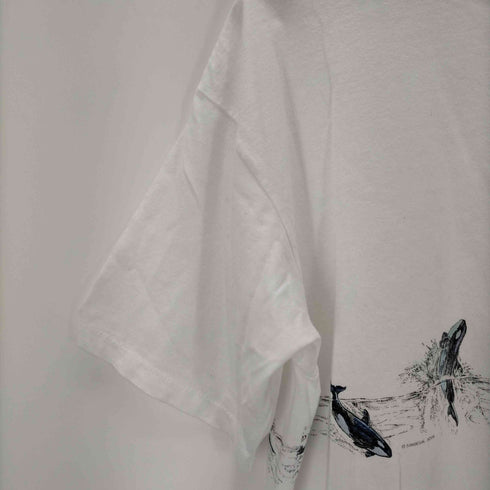 オールスポーツ ALL sport SANSEGAL Dolphin SeaWorld Tee メンズ import:XL