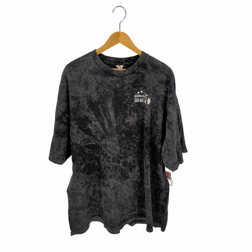 アルスタイル alstyle KAUAI MAUI HAWAII タイダイ両面プリントTシャツ メンズ 3XL