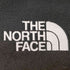 ザノースフェイス THE NORTH FACE Mountain Light Jacket メンズ JPN:L