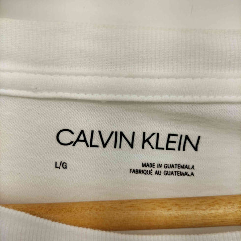 カルバンクライン CALVIN KLEIN クルーネック ロゴ プリント L/S Tシャツ ロンT メンズ import:L