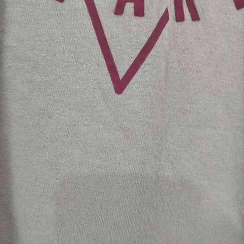 チャンピオン Champion スクリプトロゴ クルーネックTシャツ メンズ import:L