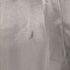 ロクビューティーアンドユースユナイテッドアローズ 6 BEAUTY & YOUTH UNITED ARROWS SATIN TUCK PANTS パンツ テーパード ハイウエスト サテン 34 ベージュ レディース JPN:34