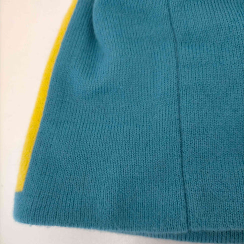 ステューシー Stussy SS Link Skull Cap メンズ