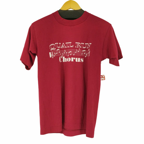 スクリーンスターズ SCREEN STARS 90s USA製 QUAIL RUN シングルステッチ プリントクルーネックTシャツ メンズ JPN:S