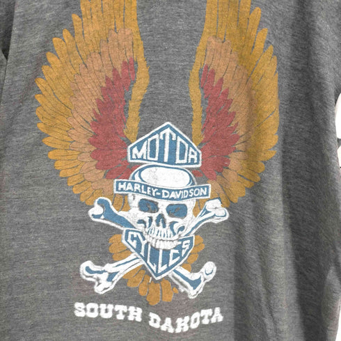 ハーレーダヴィットソン HARLEY DAVIDSON シングルステッチ ANNUAL BLACK HILLS 1980 クルーネックTシャツ メンズ JPN:XL