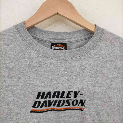 ハーレーダビッドソン HARLEY-DAVIDSON 袖 x フロントロゴ刺繍 霜降りTシャツ メンズ import:S