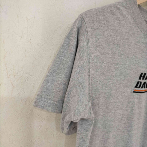 ハーレーダビッドソン HARLEY-DAVIDSON 袖 x フロントロゴ刺繍 霜降りTシャツ メンズ import:S