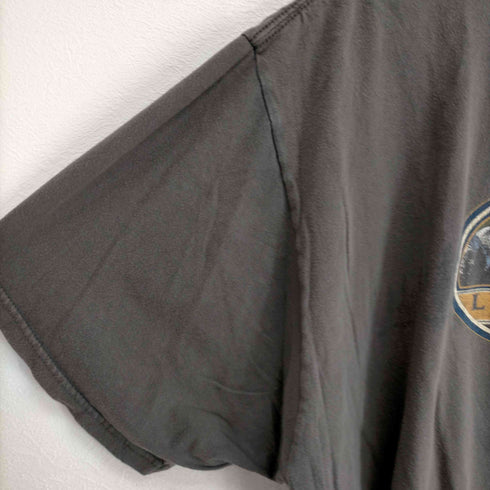 アンビル Anvil LAKE PLACID クルーネックTシャツ メンズ JPN:XL