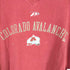 PRO PLAYER COLORADO AVALANCHE Vネック L/Sカットソー メンズ