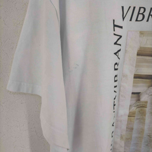 ミスタージェントルマン MISTER GENTLE MAN VIBRANT PHOTO TEE メンズ JPN:XL