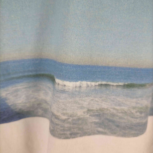 バンズ VANS California Photo L/S T-Shirt ロンT メンズ JPN:M
