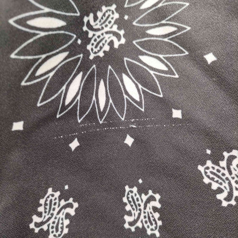 DASHAYU ペイズリー柄 シャツ セットアップ メンズ JPN:XL