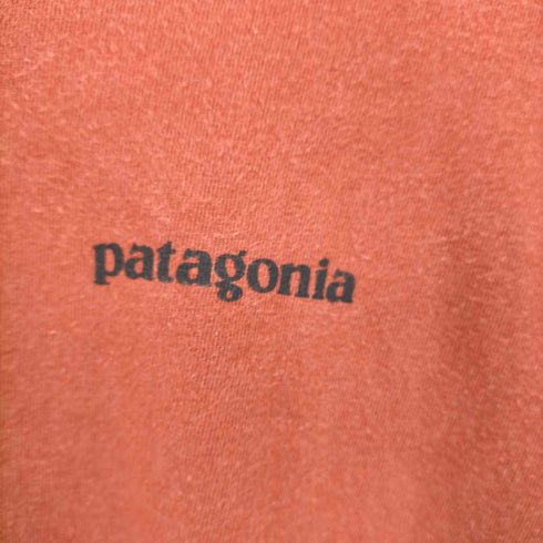 パタゴニア patagonia 16AW P-6 LOGO COTTON T-SHIRT メンズ import:L