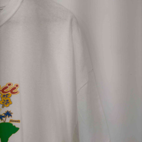 HAWAII フロントプリントTシャツ メンズ 2XL