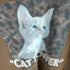ダブルシージェイ WCJ CAT POWER S/S TEE メンズ FREE
