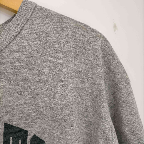 チャンピオン Champion トリコタグ 染み込み ワンツーボディ 霜降り Tシャツ BINGHAMTON ATHLETICS メンズ import:L