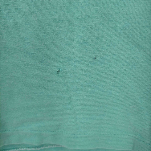 ヘインズ Hanes USA製 袖裾シングルステッチ クジラ Tシャツ メンズ import:M