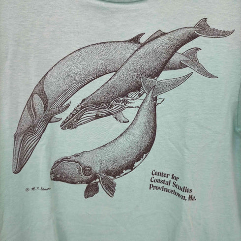ヘインズ Hanes USA製 袖裾シングルステッチ クジラ Tシャツ メンズ import:M