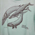 ヘインズ Hanes USA製 袖裾シングルステッチ クジラ Tシャツ メンズ import:M
