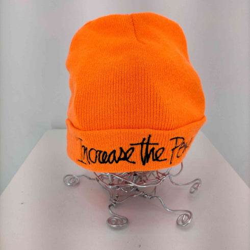 ステューシー Stussy INCREASE THE PEACE ビーニー メンズ