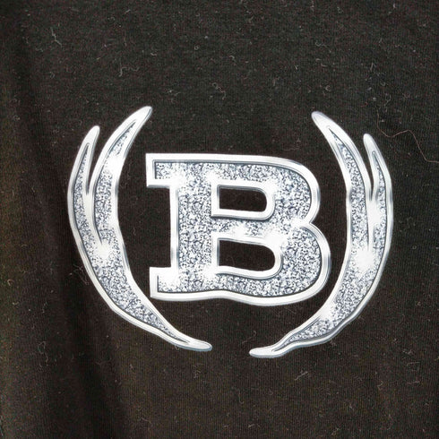 ブラックアイパッチ Black Eye Patch ICED OUT WINGED LOGO BABY TEE ピチT レディース JPN:S
