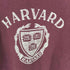 HARVARD エンブレム プリント ラグランスリーブ スウェット メンズ