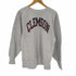チャンピオン Champion 90S Mexico製 刺繍タグ reverse weave clemsin カレッジ ラバープリント メンズ JPN:L