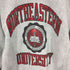 チャンピオン Champion 90S Mexico製 刺繍タグ reverse weave northeastern university 3段 カレッジ ラバープリント メンズ import:M