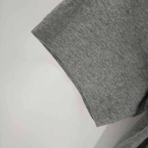 チャンピオン Champion ビックロゴ刺繍 クルーネックS/S TEE メンズ import:M