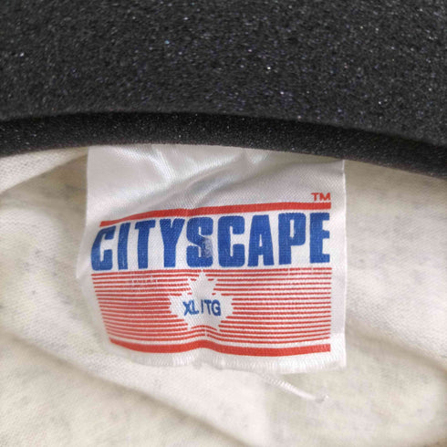 CITYSCAPE 90S カナダ製 QUEBEC TEE メンズ JPN:XL
