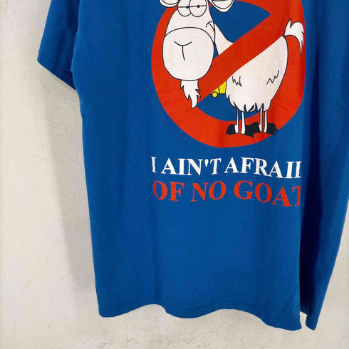 フルーツオブザルーム FRUIT OF THE LOOM フロントプリント S/S TEE メンズ import:XL