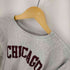 チャンピオン Champion 90S MADE IN USA REVERSEWEAVE CHICAGO メンズ import:L