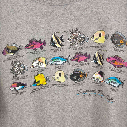 ヘインズ Hanes 00s Tropical Reef Fish 熱帯魚 クルーネックTシャツ メンズ import:XL