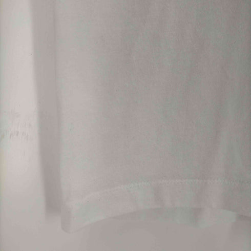 フルーツオブザルーム FRUIT OF THE LOOM 90S WELSH CORGIS USA製 シングルステッチ プリントTシャツ メンズ JPN:L