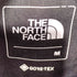 ザノースフェイス THE NORTH FACE MOUNTAIN JACKET マウンテンジャケット GORE-TEX GTX メンズ import:M