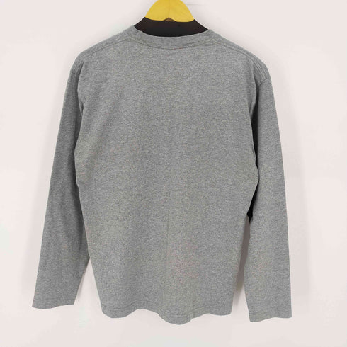 ザノースフェイス THE NORTH FACE ロングスリーブヌプシコットンティー L/S Nuptse Cotton Tee メンズ import:M