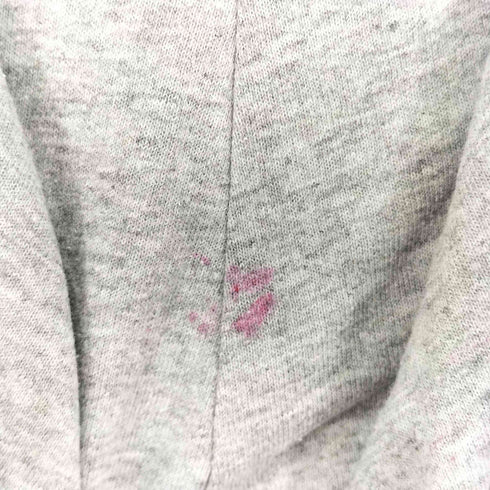 チャンピオン Champion ラグランフーディ メンズ JPN:XL
