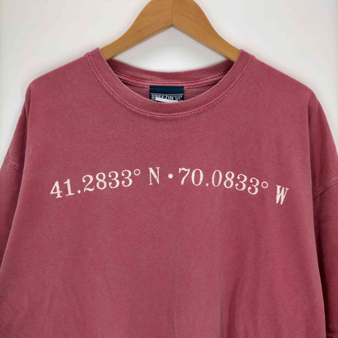 BREEZIN' UP ホンジュラス製 プリントクルーネックTシャツ メンズ JPN:XL