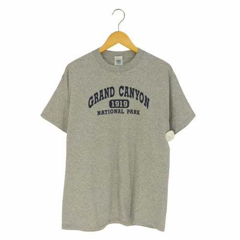 デルタプロウェイト DELTA PRO WEIGHT USA製 アーチプリント クルーネックTシャツ メンズ import:L