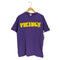 スターター STARTER 1995年 USA製 シングルステッチ VIKINGS プリント クルーネックTシャツ メンズ import:M