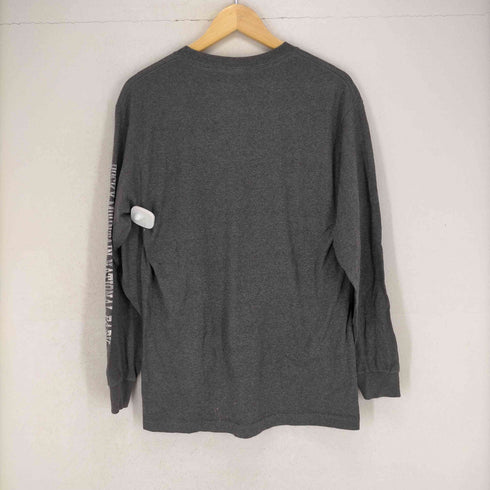 アルスタイルアパレルアクティブウェアー ALSTYLE APPAREL & ACTIVEWEAR ROCKY MOUNTAIN L/Sカットソー メンズ JPN:M