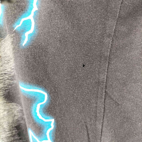AMERICAN THUNDER 90S WOLF サンダー 両面プリント クルーネックTシャツ メンズ