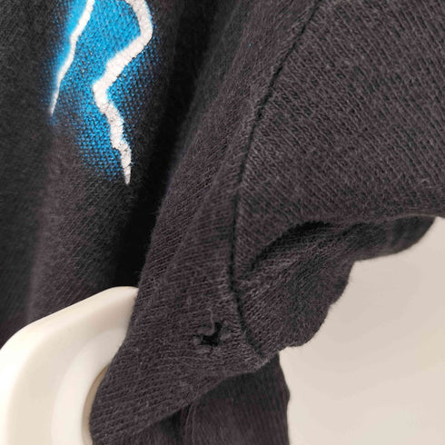 AMERICAN THUNDER 90S WOLF サンダー 両面プリント クルーネックTシャツ メンズ