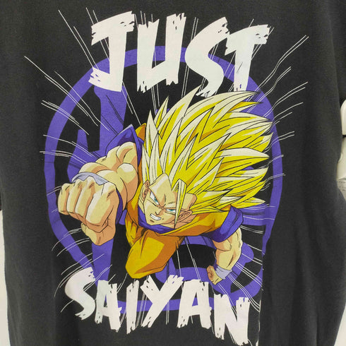 ドラゴンボールゼット DRAGONBALL Z キャラクタープリントS/S TEE アニメT メンズ JPN:L